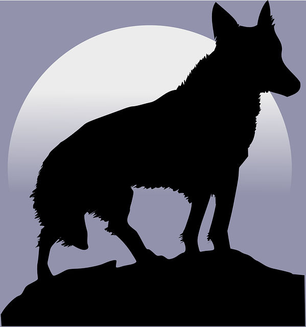 すべて無料 おすすめの人狼ゲーム５選 一人用からオンライン対戦まで スマホアプリのアプリハンター